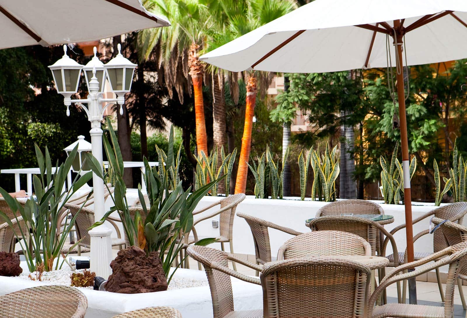 Hotel Be Live Adults Only Tenerife Hotel Be Live Adults Only Tenerife