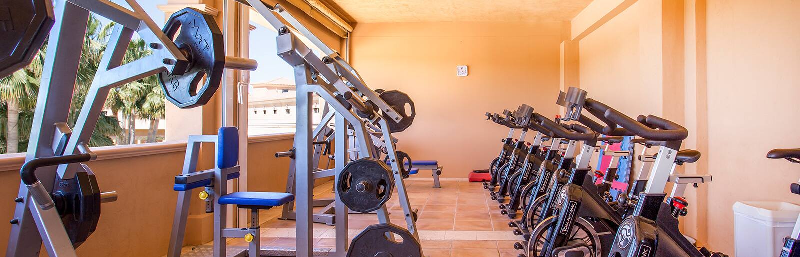 Gym, Be Live Collection Son Antem Gym, Be Live Collection Son Antem