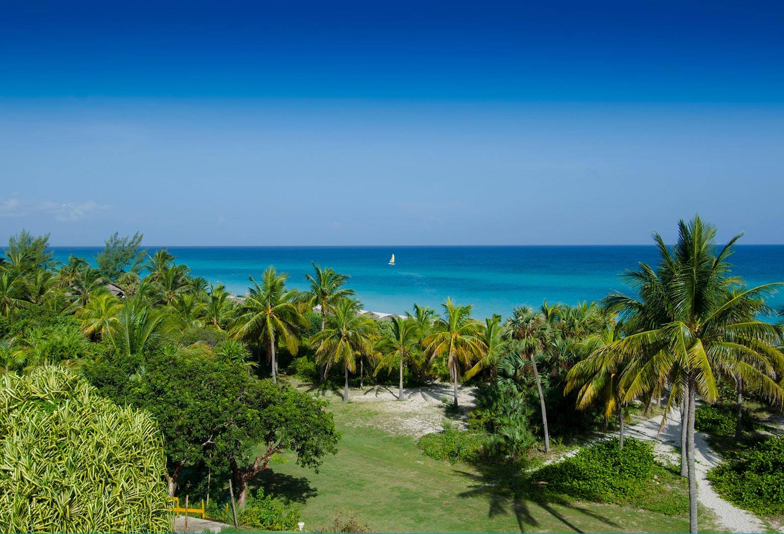 Be Live Adults Only Los Cactus playa virgen Be Live Adults Only Los Cactus playa virgen