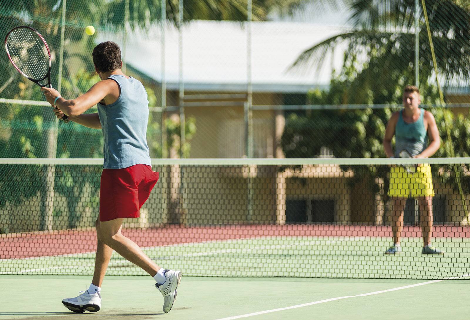 Tenis Be Live Adults Only Cactus Tenis Be Live Adults Only Cactus